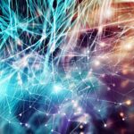 Tesla Motors: Revolutionizing the Automotive Industry with Sustainable Power